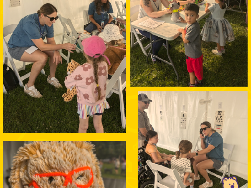 Teddy Bears’ Picnic
